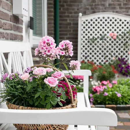 An Der Baeke E * 바트즈위스케나흔